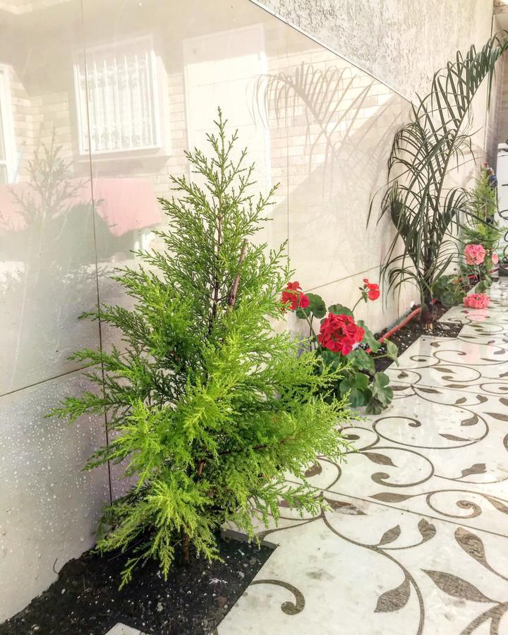 Shahal Apartments Beersheba Exterior photo